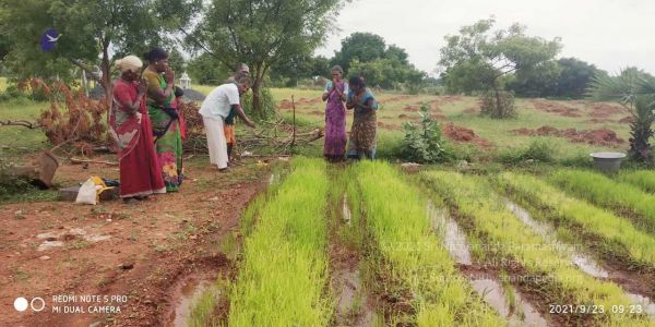 20210923 Tiruvannamalai 3.34.41 PM.jpg