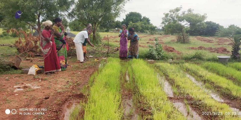 File:20210923 Tiruvannamalai 3.34.41 PM.jpg