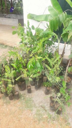 20210926 Tiruvannamalai 10.58.23 AM.jpg