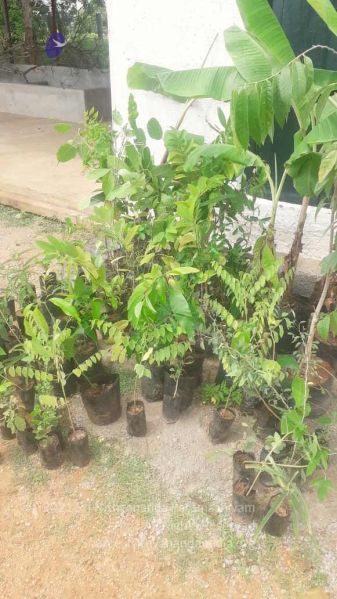 File:20210926 Tiruvannamalai 10.58.23 AM.jpg