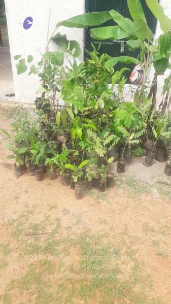 File:20210926 Tiruvannamalai 10.58.26 AM.jpg