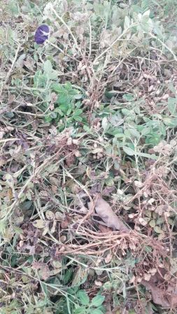 20210927 Tiruvannamalai 5.27.47 PM.jpg