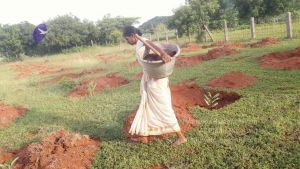 20210927 Tiruvannamalai 9.12.04 AM.jpg