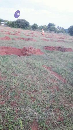 20210927 Tiruvannamalai 9.12.09 AM.jpg