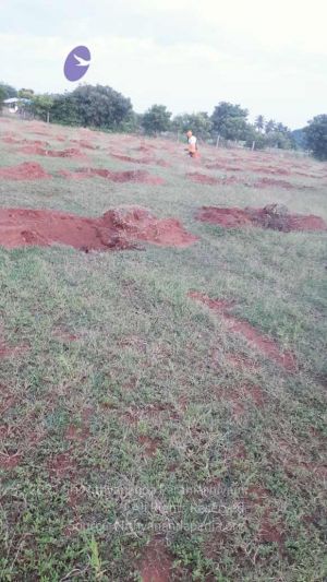 20210927 Tiruvannamalai 9.12.09 AM.jpg