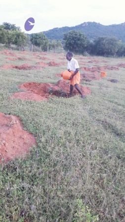 20210927 Tiruvannamalai 9.12.13 AM.jpg