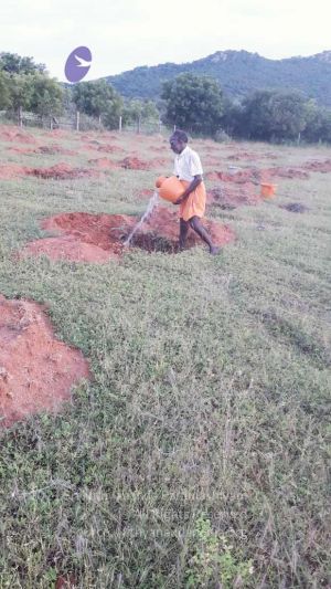 20210927 Tiruvannamalai 9.12.14 AM.jpg