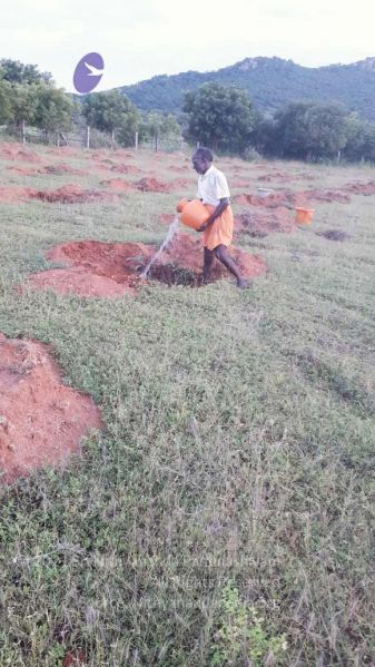 File:20210927 Tiruvannamalai 9.12.14 AM.jpg