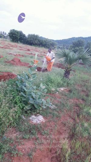 20210927 Tiruvannamalai 9.12.19 AM.jpg