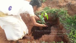 20210927 Tiruvannamalai 9.12.22 AM.jpg