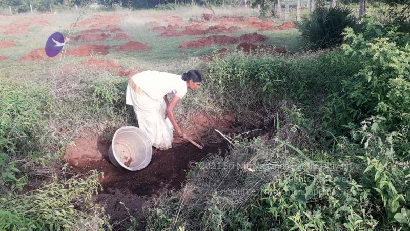 File:20210927 Tiruvannamalai 9.12.25 AM.jpg