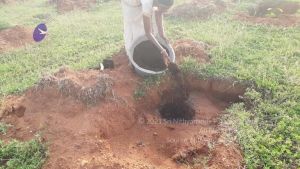 20210927 Tiruvannamalai 9.12.26 AM.jpg