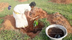 20210927 Tiruvannamalai 9.12.28 AM.jpg
