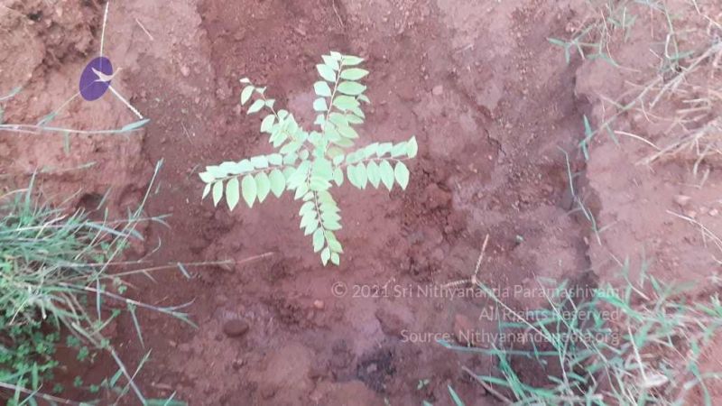 File:20210927 Tiruvannamalai 9.12.29 AM.jpg