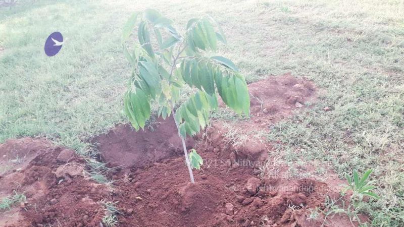 File:20210927 Tiruvannamalai 9.12.30 AM.jpg