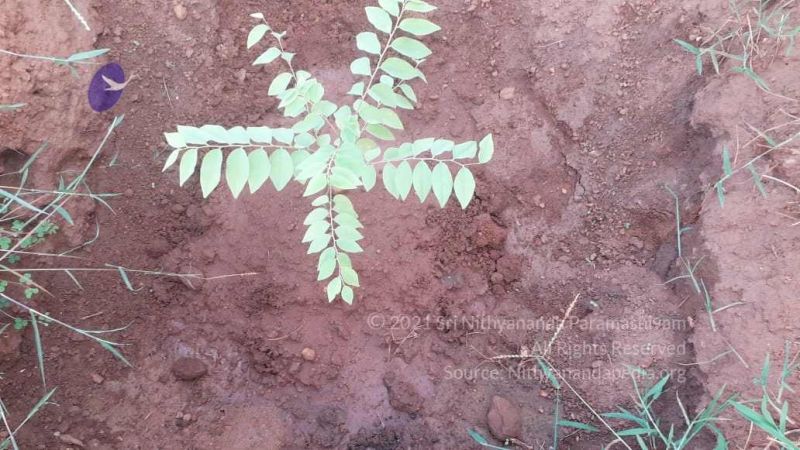 File:20210927 Tiruvannamalai 9.12.31 AM.jpg