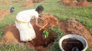 20210927 Tiruvannamalai 9.12.33 AM.jpg