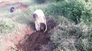 20210927 Tiruvannamalai 9.12.34 AM.jpg