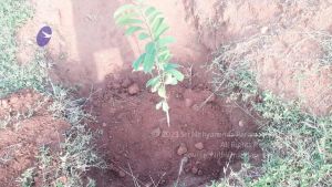 20210927 Tiruvannamalai 9.12.35 AM.jpg