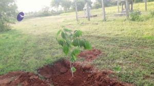 20210927 Tiruvannamalai 9.12.38 AM.jpg