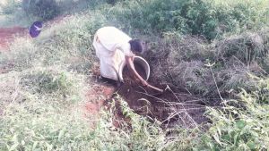 20210927 Tiruvannamalai 9.12.40 AM.jpg