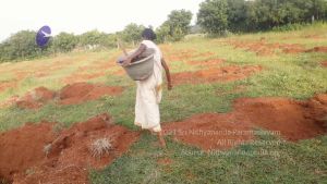 20210927 Tiruvannamalai 9.12.43 AM.jpg