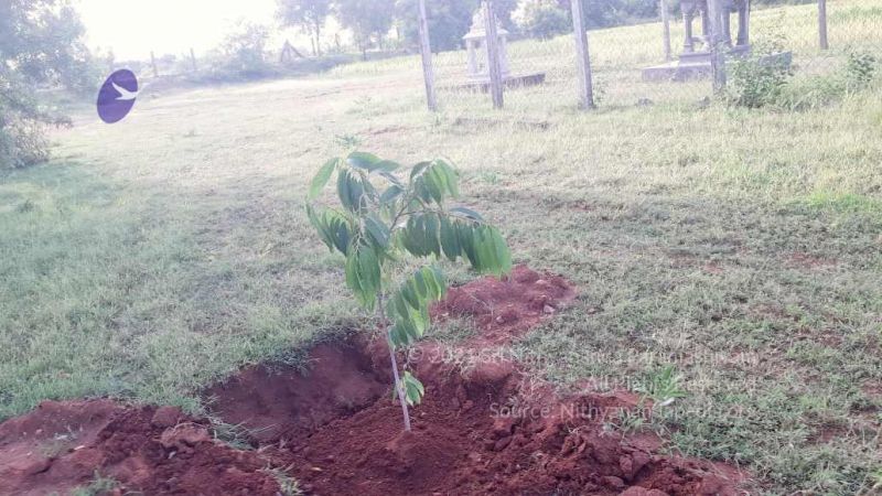 20210927 Tiruvannamalai 9.12.44 AM.jpg