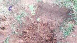 20210927 Tiruvannamalai 9.12.46 AM.jpg