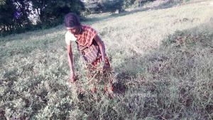 20210928 Tiruvannamalai 7.47.46 PM.jpg