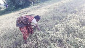 20210928 Tiruvannamalai 7.48.03 PM.jpg