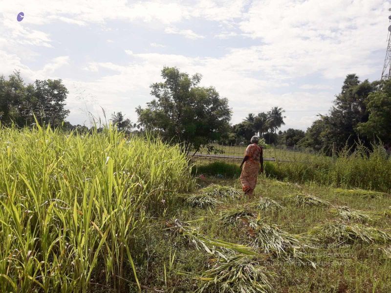 File:20210928 Tiruvannamalai 7.49.40 PM.jpg