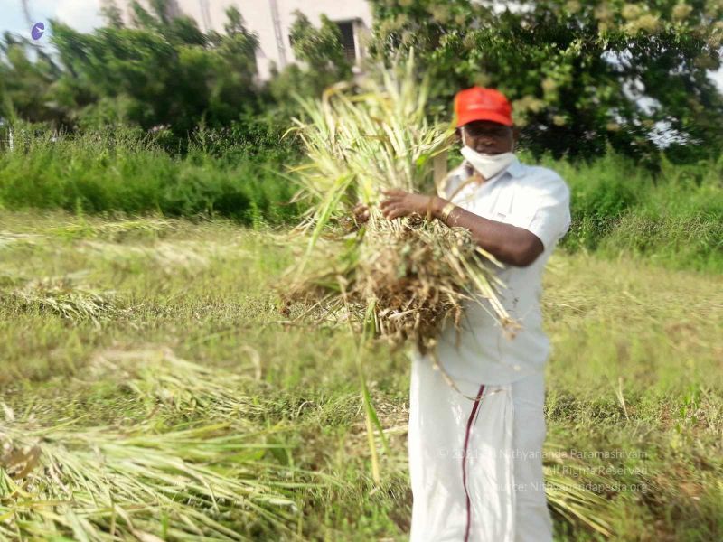 File:20210928 Tiruvannamalai 7.49.45 PM.jpg