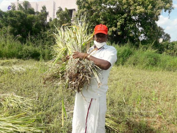 20210928 Tiruvannamalai 7.49.47 PM.jpg