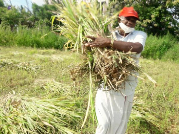 20210928 Tiruvannamalai 7.49.51 PM.jpg