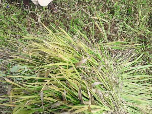 20210928 Tiruvannamalai 7.50.03 PM.jpg