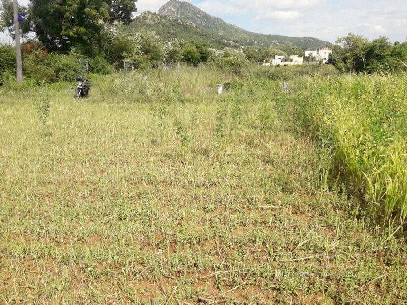 File:20210928 Tiruvannamalai 7.50.07 PM.jpg