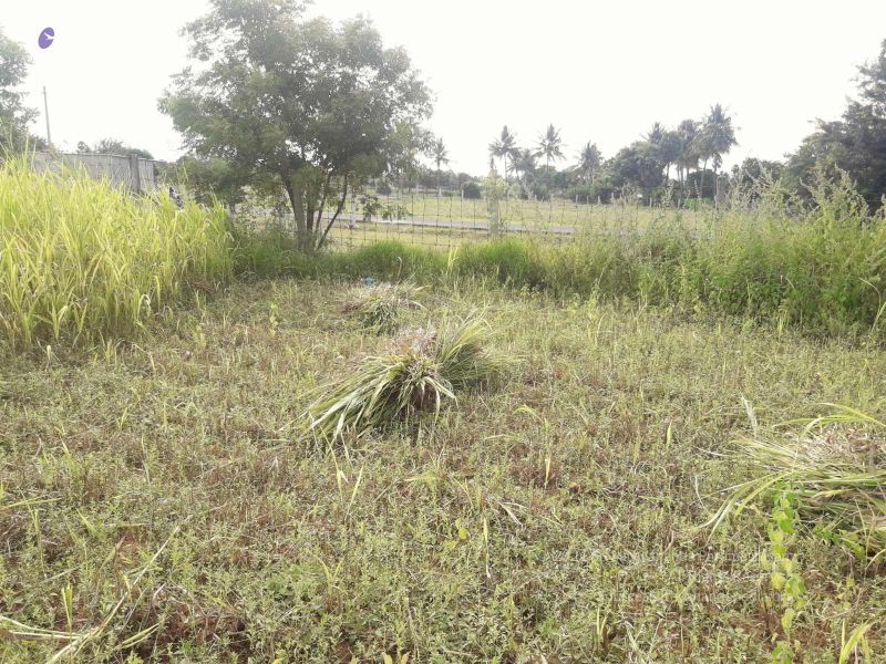 File:20210928 Tiruvannamalai 7.50.09 PM.jpg