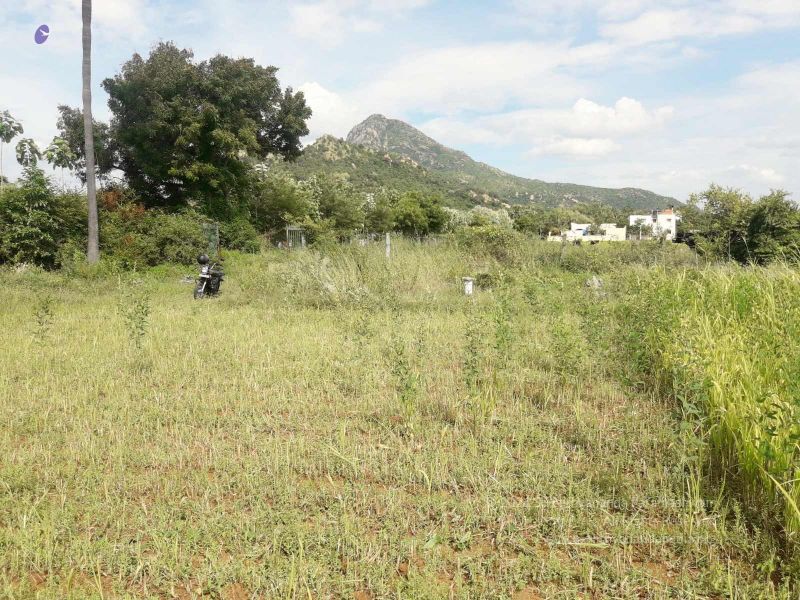 File:20210928 Tiruvannamalai 7.50.12 PM.jpg