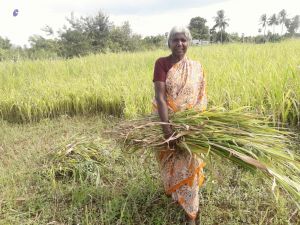 20210928 Tiruvannamalai 7.50.20 PM.jpg