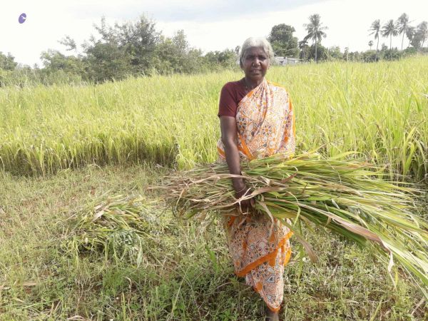 20210928 Tiruvannamalai 7.50.20 PM.jpg