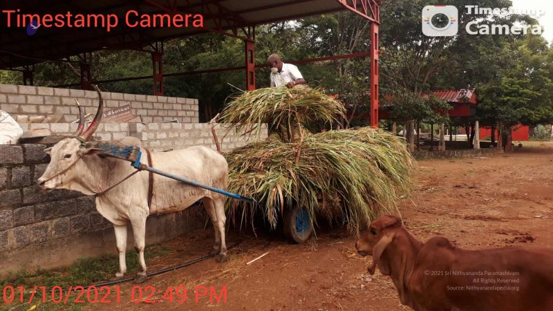 20211001 Tiruvannamalai 144930.jpg