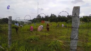 20211001 Tiruvannamalai 6.27.54 PM.jpg