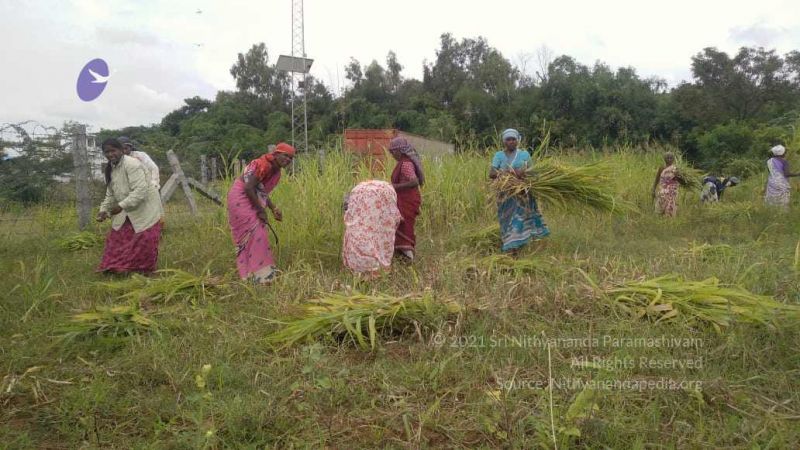 File:20211001 Tiruvannamalai 6.28.01 PM.jpg