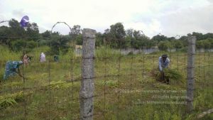 20211001 Tiruvannamalai 6.28.03 PM.jpg