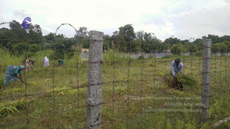 File:20211001 Tiruvannamalai 6.28.03 PM.jpg