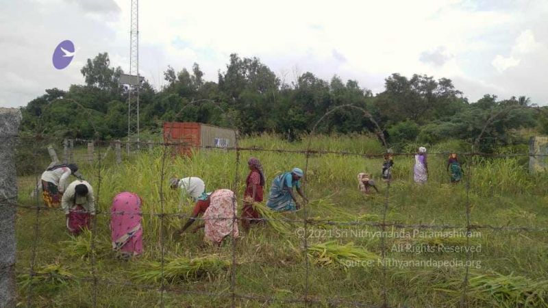 File:20211001 Tiruvannamalai 6.28.07 PM.jpg