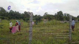 20211001 Tiruvannamalai 6.28.08 PM.jpg