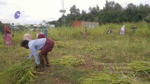 20211001 Tiruvannamalai 6.28.10 PM.jpg