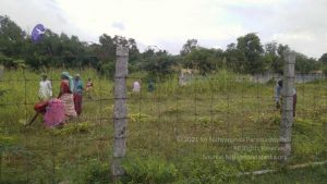 20211001 Tiruvannamalai 6.28.12 PM.jpg