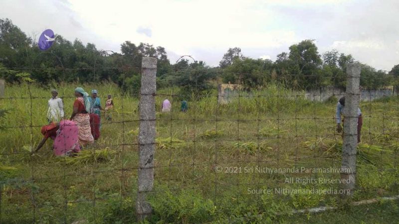 File:20211001 Tiruvannamalai 6.28.12 PM.jpg